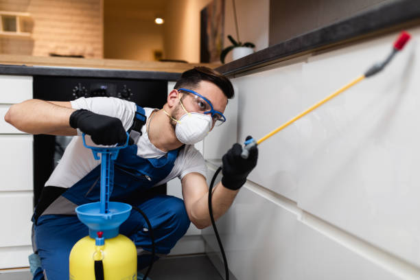 Best Pest Inspection Near Me  in Rural Hill, TN