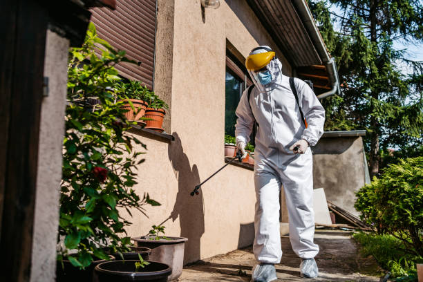 Best Pest Removal Services  in Rural Hill, TN