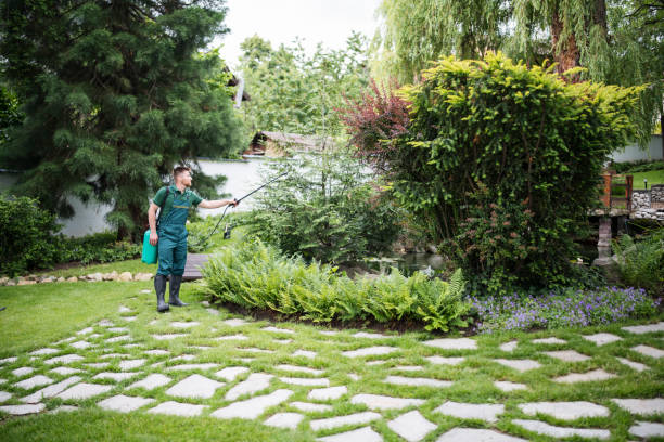 Best Pest Inspection Near Me  in Rural Hill, TN