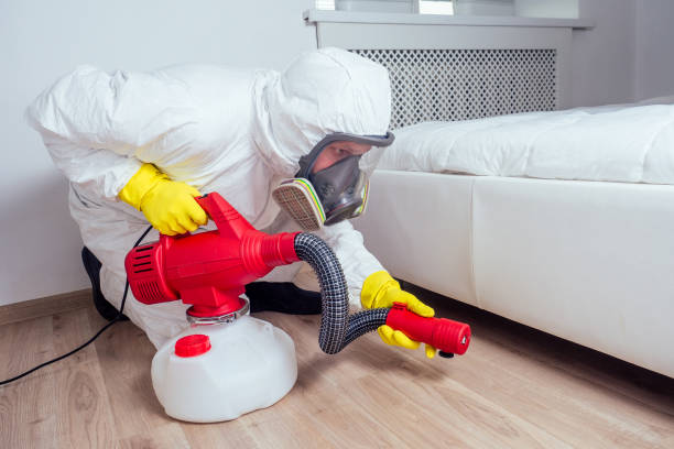Best Bed Bug Extermination  in Rural Hill, TN