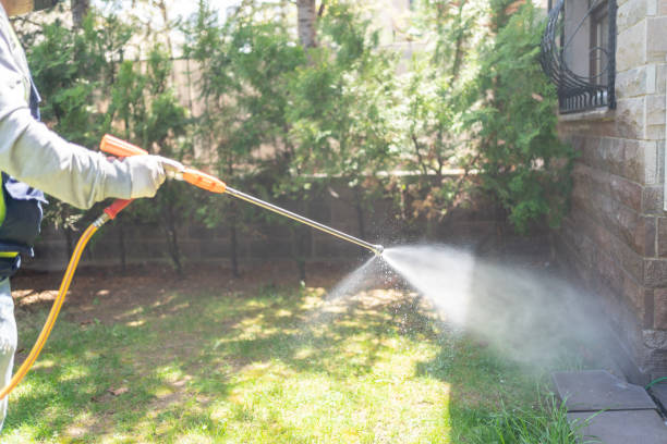 Best Mosquito Control Services  in Rural Hill, TN