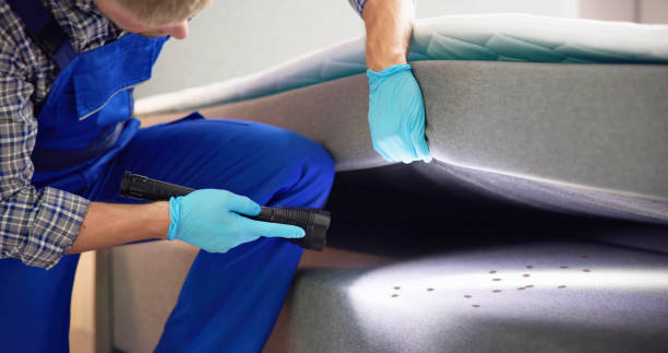 Best Emergency Pest Control  in Rural Hill, TN