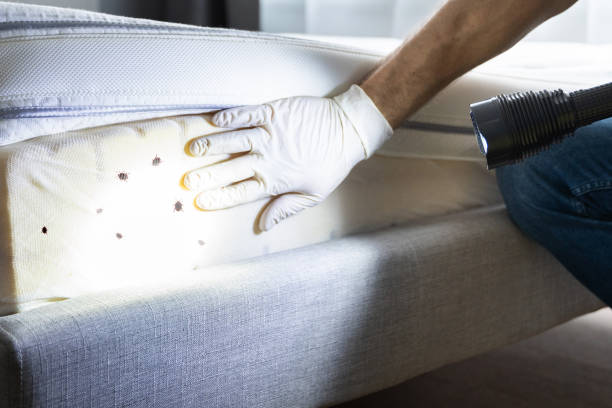 Best Best Pest Control Companies  in Rural Hill, TN