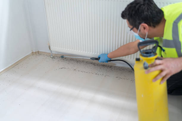 Best Wasp Removal Services  in Rural Hill, TN