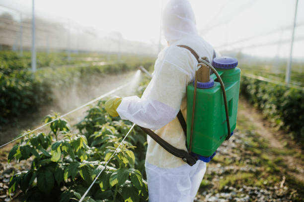 Best Affordable Pest Control Services  in Rural Hill, TN